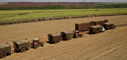 Clima seco favorece colheita na segunda quinzena de junho