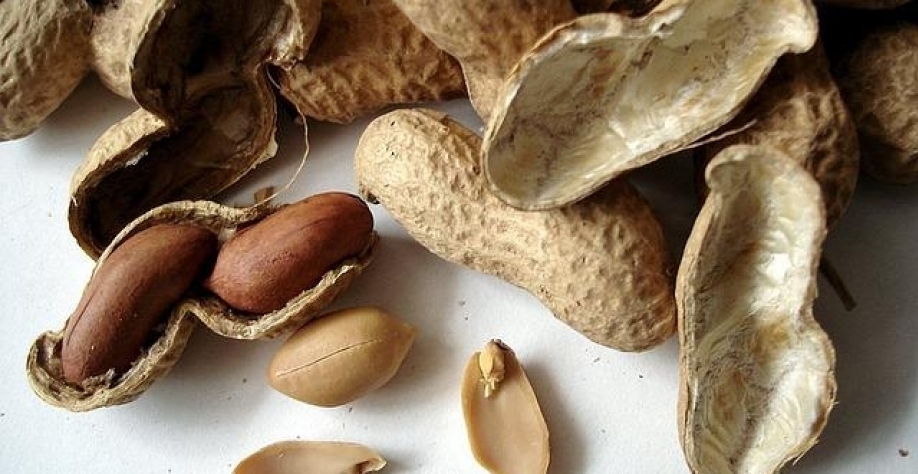 O Projeto de Lei (PL 4475/2023) requer a data comemorativa para o dia 13 de setembro, na qual também é o Dia Internacional do Amendoim