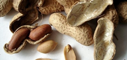 Câmara Setorial do Amendoim se reúne para discutir criação do Dia Nacional do Amendoim