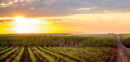 Como será o clima no Brasil em julho?