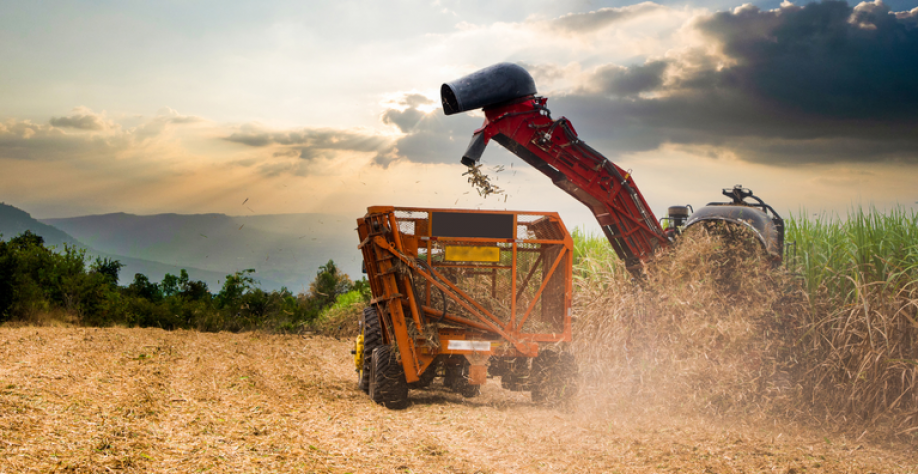 Exportações do agronegócio brasileiro atingem US$ 15,20 bi em junho e US$ 82,39 bi no semestre