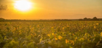 Tempo seco deve predominar no Brasil central durante a semana