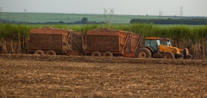 Cana/CTC: produtividade em junho no Centro-Sul registra queda de 1,5%