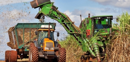 Chuvas impactam o ritmo de colheita na primeira quinzena de julho