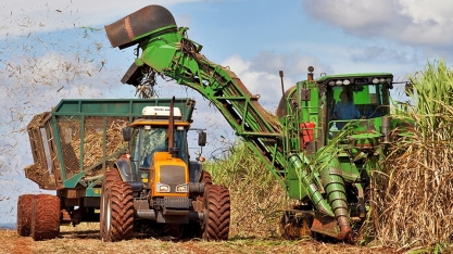 Chuvas impactam o ritmo de colheita na primeira quinzena de julho