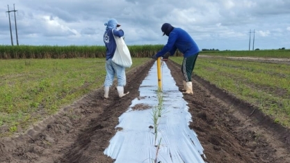 CanaOnline, Edilson Maia e Usina Caeté realizam 1º CanaShow Alagoas