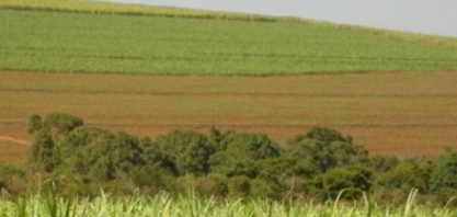 Ipiranga e Vibra estão prontas para questionar RenovaBio na Justiça, dizem fontes