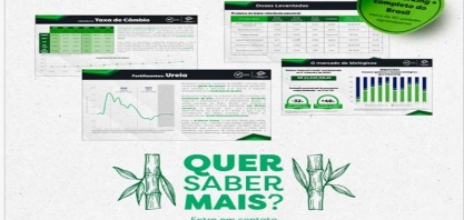 Pecege divulga Relatório de Rentabilidade - Fechamento Safra: 23/24