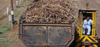 Mercado global de açúcar terá excedente menor com queda na oferta do Brasil