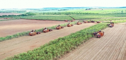 Dia do Agricultor: Brasil dá lições de sustentabilidade na agricultura