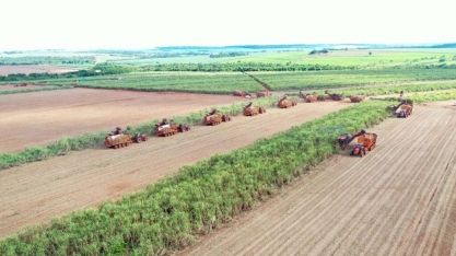 Dia do Agricultor: Brasil dá lições de sustentabilidade na agricultura