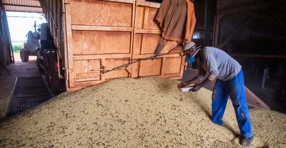 Maior desafio enfrentado em relação aos trabalhadores é a necessidade de qualificação técnica — Foto: Wenderson Araujo/CNA