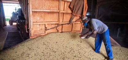 Produtores têm dificuldade de encontrar mão de obra em Mato Grosso