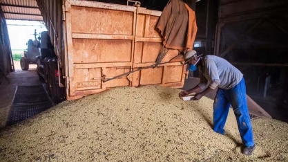 Produtores têm dificuldade de encontrar mão de obra em Mato Grosso