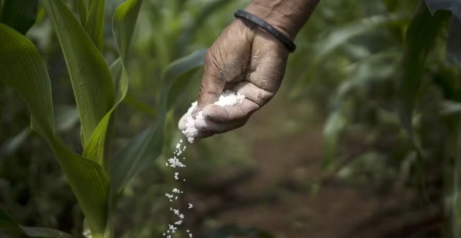 'Temos como meta reduzir a grande dependência desse insumo que vem de fora”, diz Carlos Padilla — Foto: Getty Images