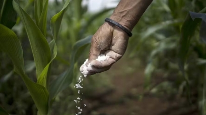 Governo busca atrair aportes para produção de adubo no país