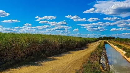 Zilor lucrou R$ 65 milhões no 1º trimestre da safra