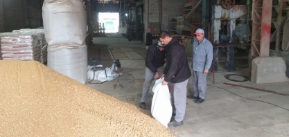 Bunge doa 10 toneladas de farelo de soja para alimentar abelhas no RS