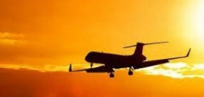 MME debate cooperação estratégica em combustíveis sustentáveis de aviação com membros da Amcham