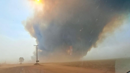 Queimadas: a ameaça constante aos produtores de cana-de-açúcar