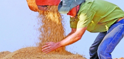 Agro é o maior gerador de novas vagas com carteira assinada em MT