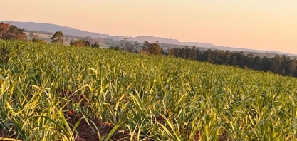 Asplana participa de reunião sobre pagamento de CBIOs e do lançamento da safra 24/25 em Natal