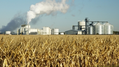 Etanol/EUA: Produção sobe 0,5% na semana, para 1,072 milhão de barris por dia