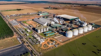 FS tem prejuízo de R$ 40,28 milhões no 1º trimestre da safra