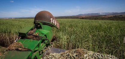 Moagem de cana-de-açúcar em Minas Gerais cresce 9,9% e ultrapassa 43,8 milhões de toneladas