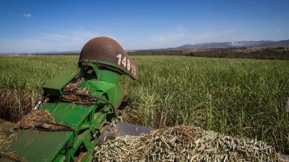 Moagem de cana-de-açúcar em Minas Gerais cresce 9,9% e ultrapassa 43,8 milhões de toneladas