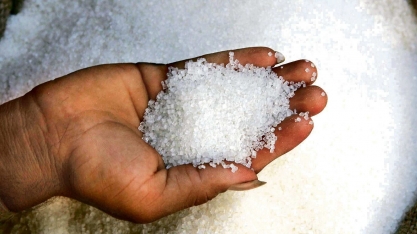 Preço do açúcar deve se recuperar, mas ainda terá queda anual