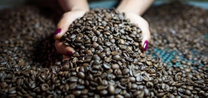 Café se aproxima de US$ 2,55 a libra-peso com preocupações sobre safra brasileira