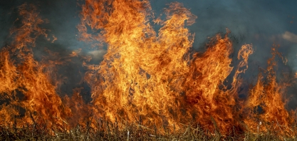 CRV Industrial e Rubi S.A. manifestam preocupação com onda de incêndios