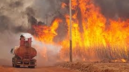 Açúcar cai em Nova York após incêndios nos canaviais de São Paulo