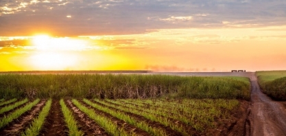 Sensação de calor: massa de ar polar perde força e temperaturas sobem