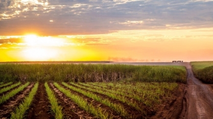 Sensação de calor: massa de ar polar perde força e temperaturas sobem