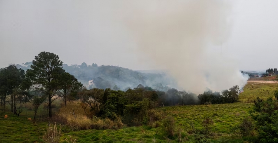 Prejuízos de incêndios em SP para a cana-de-açúcar podem durar até o ano que vem |São Paulo registrou quase 2 mil focos de incêndio no fim de semana. (Paulo Pinto/Agência Brasil/Paulo Pinto/Agência Brasil)