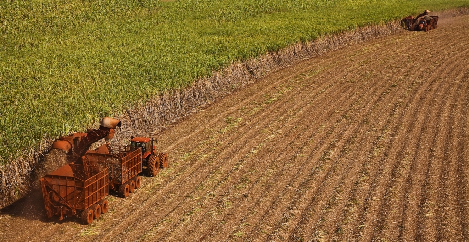 Evento é uma iniciativa inédita em Alagoas - Foto: Reprodução