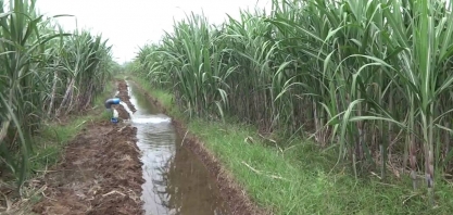 Índia recebe 9% a mais de chuvas de monções em julho, após junho fraco