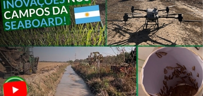 Mais de 540 km de canais irrigam 95% de toda a cana cultivada na Seaboard