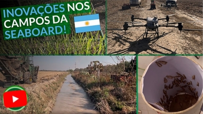 Mais de 540 km de canais irrigam 95% de toda a cana cultivada na Seaboard