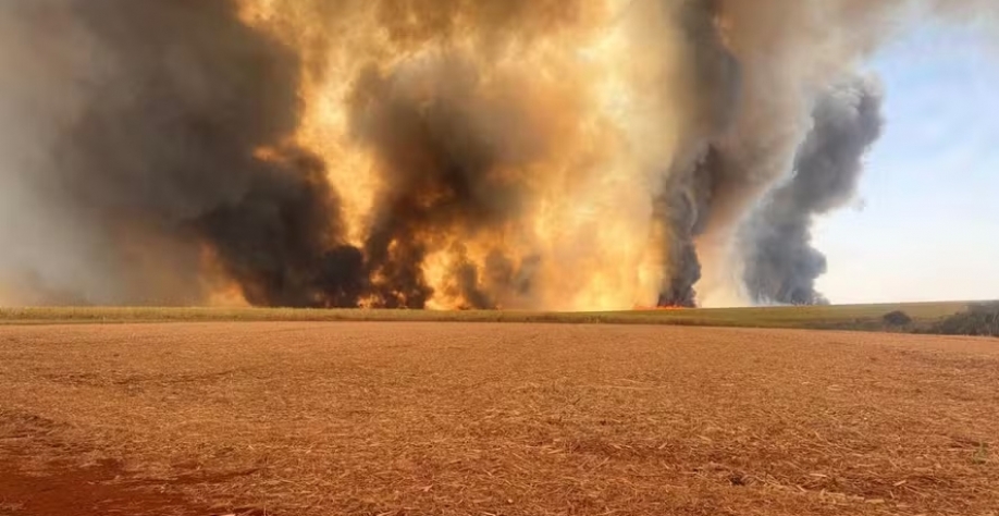 Neste domingo (25/8), o número de cidades com focos ativos de incêndio estava em seis — Foto: Canaoeste/Divulgação