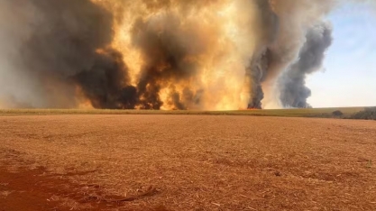 São Paulo tem 48 municípios com alerta máximo para queimadas