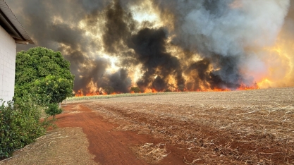 Os incêndios não foram provocados pelo setor bioenergético. Usinas e produtores são vítimas