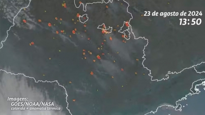 Incêndios em SP começaram em 90 minutos; mais de 80% dos focos ocorreram em áreas de uso agropecuário, aponta Ipam