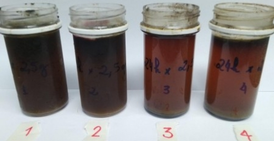 As cinzas foram mergulhadas em um líquido que simula a vinhaça para a avaliação da metodologia (foto: Milena Maria Antonio)
