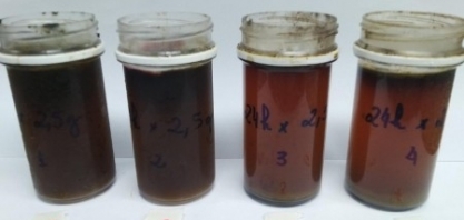 Cientistas usam cinzas geradas pela queima do bagaço da cana para recuperar nutrientes da vinhaça