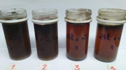 Cientistas usam cinzas geradas pela queima do bagaço da cana para recuperar nutrientes da vinhaça