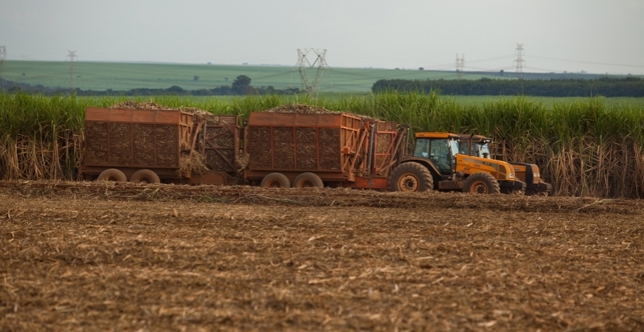 Foto: Arquivo CanaOnline