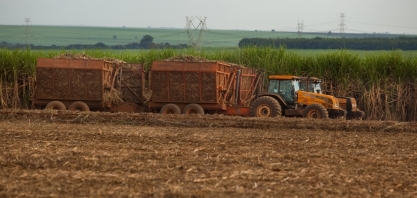 Safra 2024/2025: Adaptação e resiliência frente à escassez hídrica